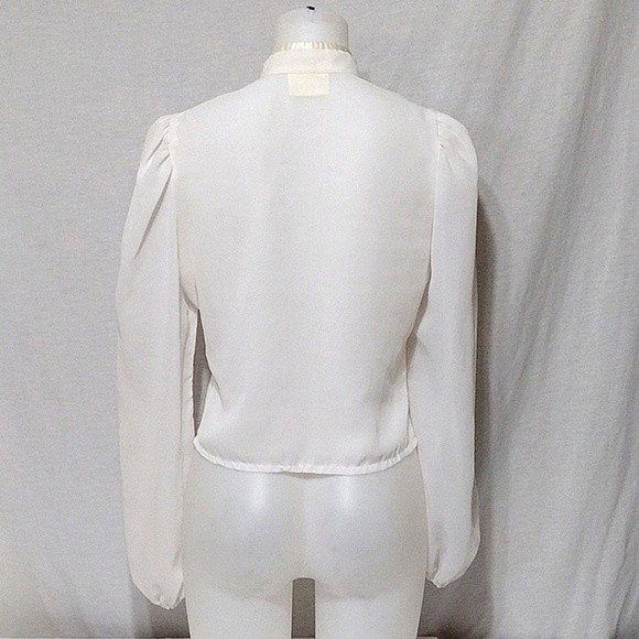 Vintage Ms Paquette Sheer Victorian Blouse Puff Sleeves Romantic Top Medium - Picture 6 of 7